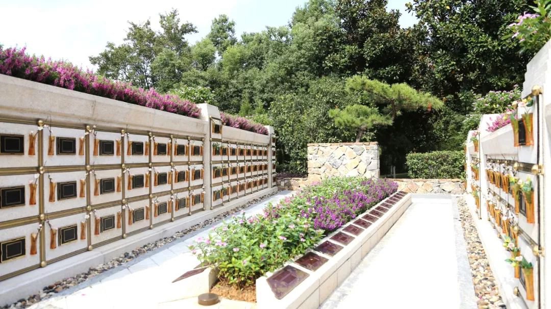 在合肥大蜀山文化陵园，与生命温柔对话