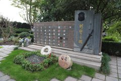致敬“平安卫士”，铭记“刑警之魂”